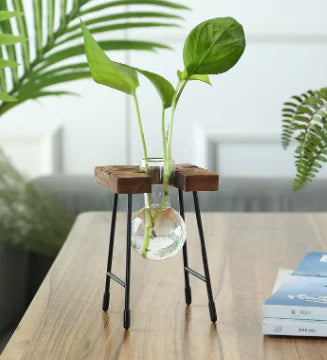 Transparent Glass Vase for Hydroponic Planting (1pc)
