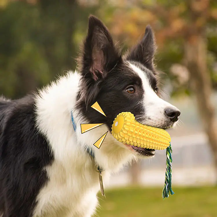 Realistic Corn Dog Toy - 888