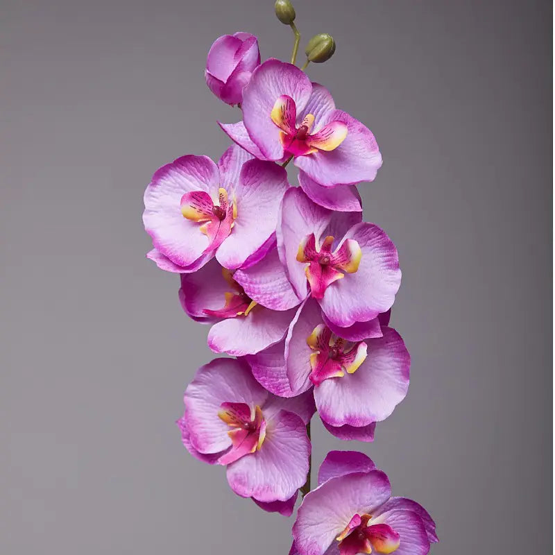 Artificial Orchid Flower for European Dining Table