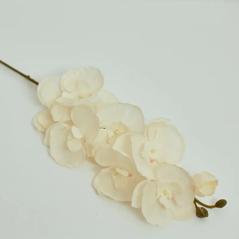 Artificial Orchid Flower for European Dining Table