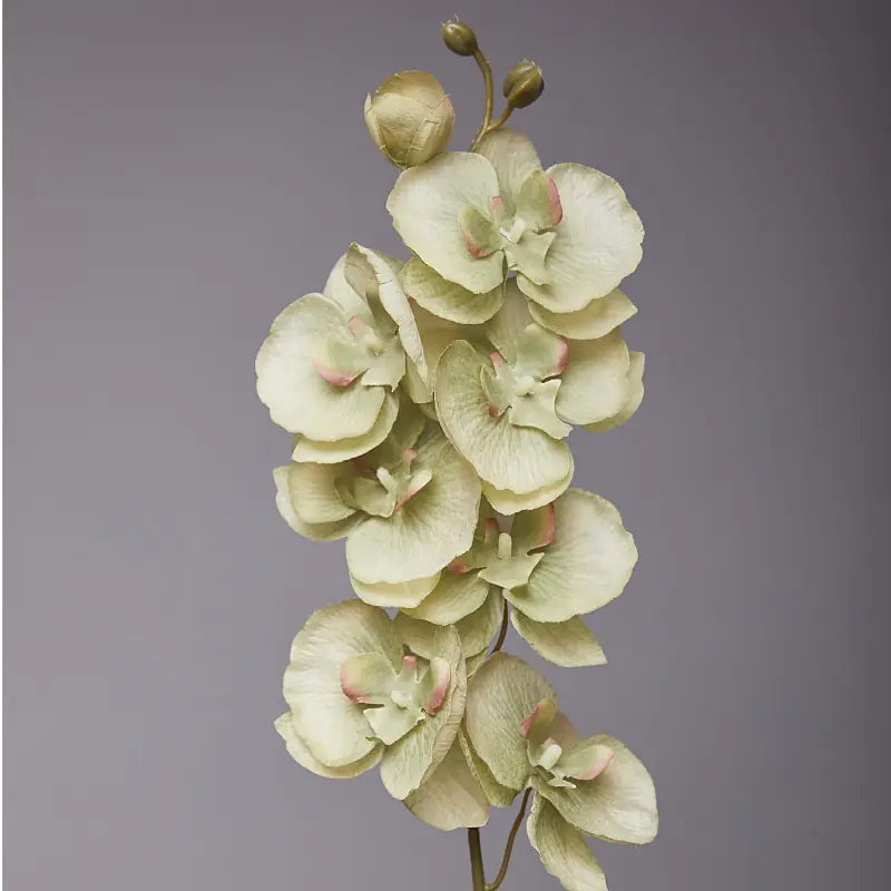 Artificial Orchid Flower for European Dining Table