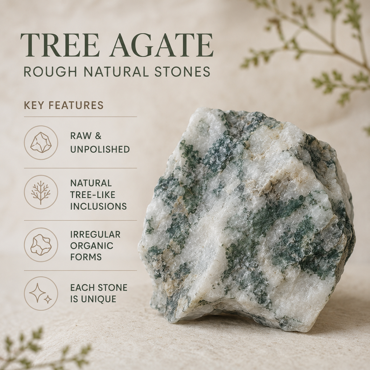 Tree Agate Rough Rocks (Trust and Self-Discipline)