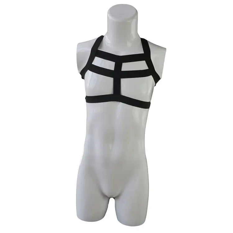 Tzy017T Men's Sexy Lingerie with Elastic Features