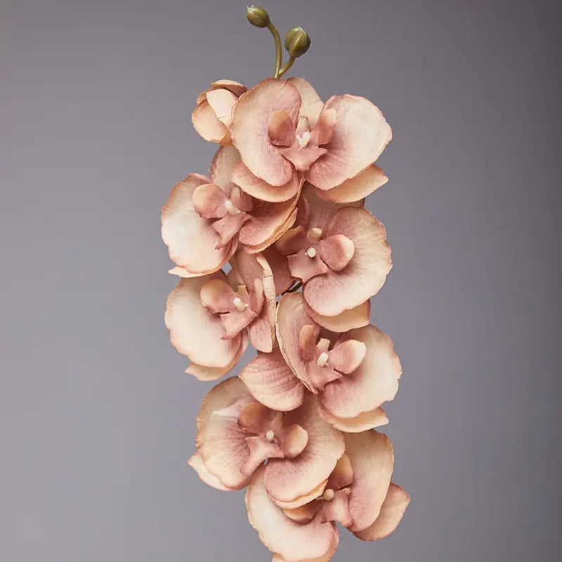 Artificial Orchid Flower for European Dining Table