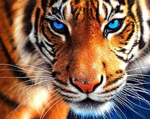 Tiger Diamond Painting Cross Stitch DIY Kit