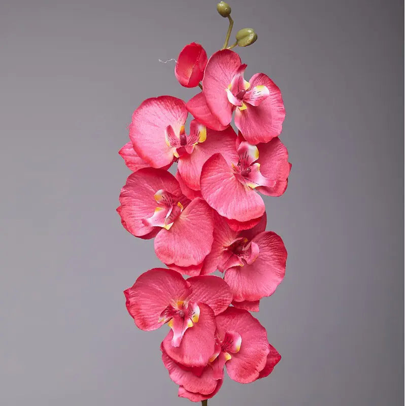 Artificial Orchid Flower for European Dining Table