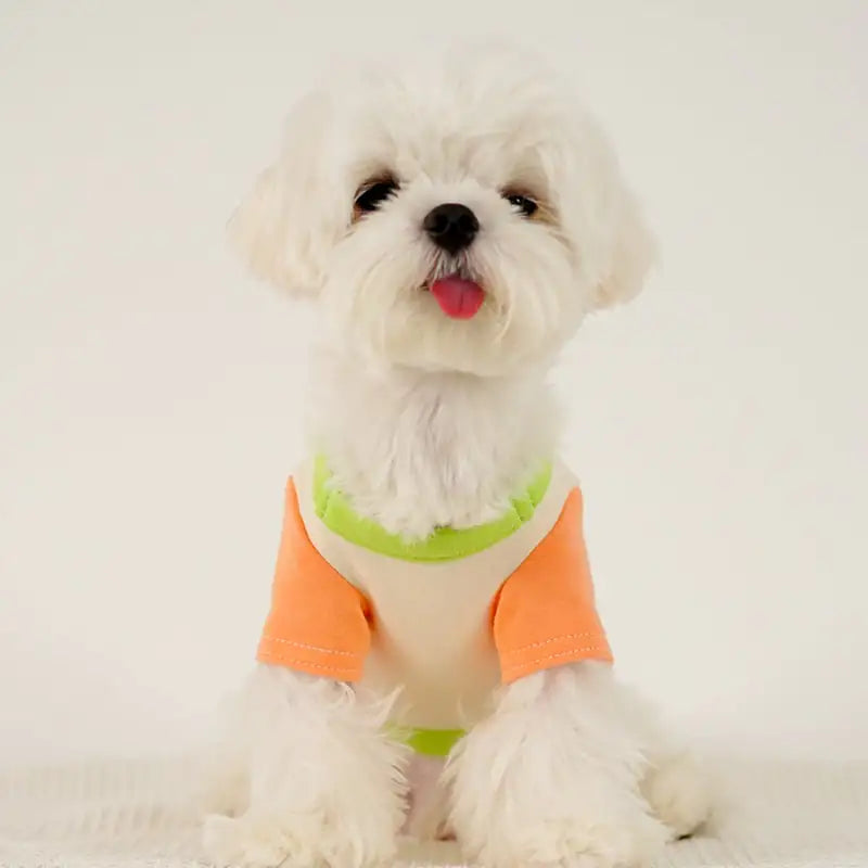 Puppy Dog Color Clash Home Wear Unterhemd