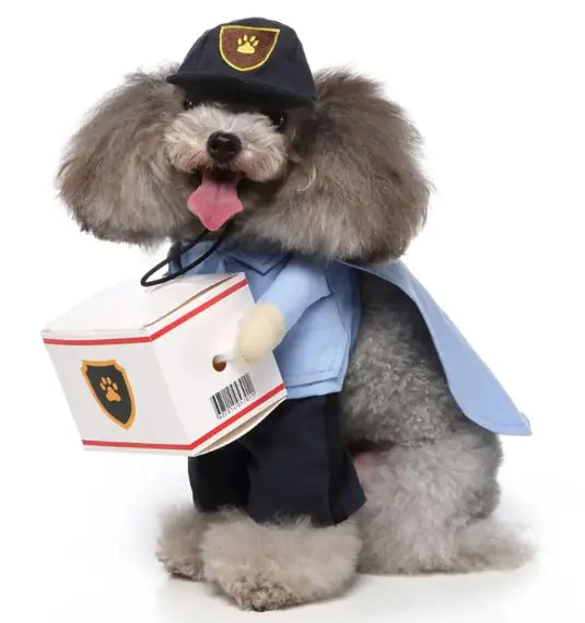 Pet Products Clothing - 888