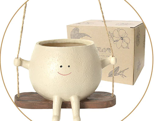 Cute Succulent Pot with Swing Design and Smiley Face