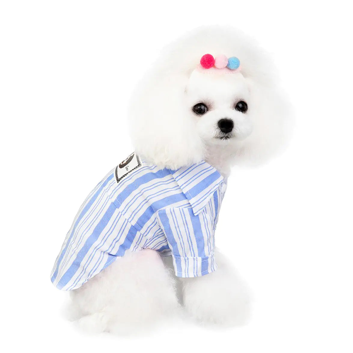 Pet Shirt for Dogs and Cats - Stylish Pet Clothing - 888