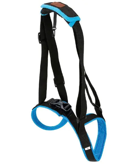 Pet Leg Support - 888
