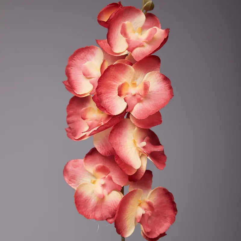 Artificial Orchid Flower for European Dining Table
