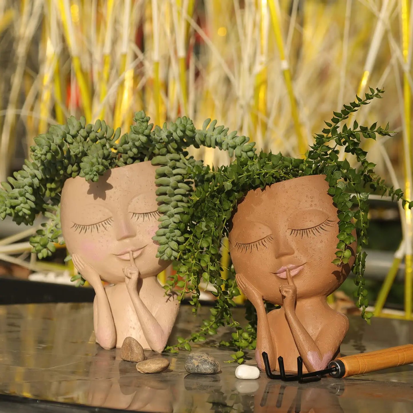 Face Head Succulent Planter with Drain Holes for Decor