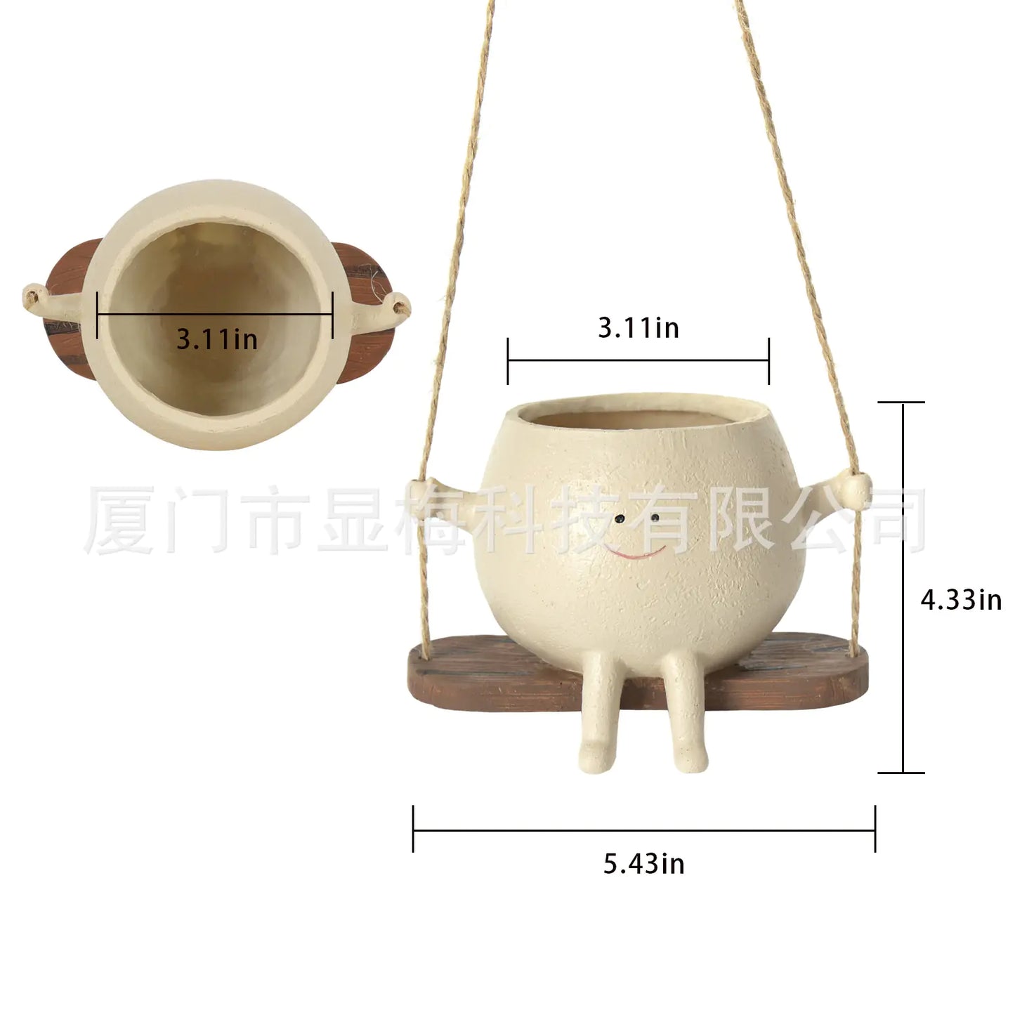 Cute Succulent Pot with Swing Design and Smiley Face