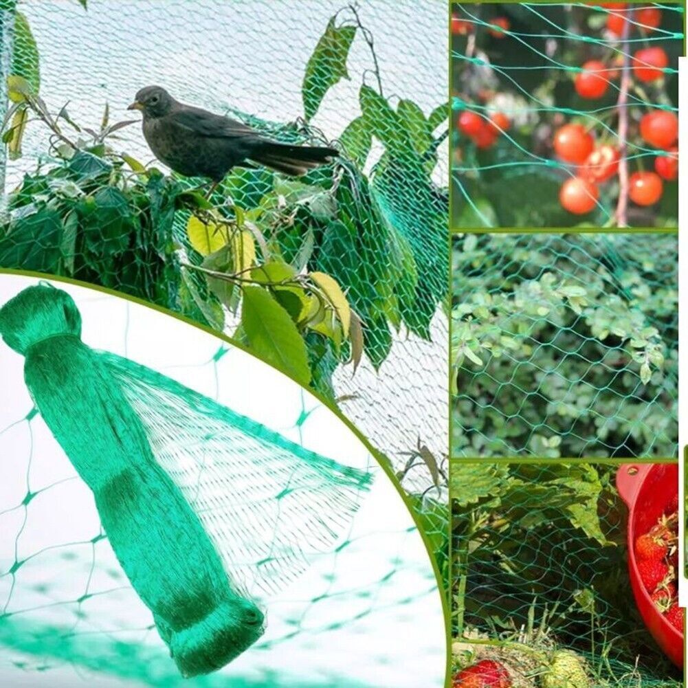 33FT Anti Bird Netting Pond Net Protection Tree Crops Plants Fruits - spt