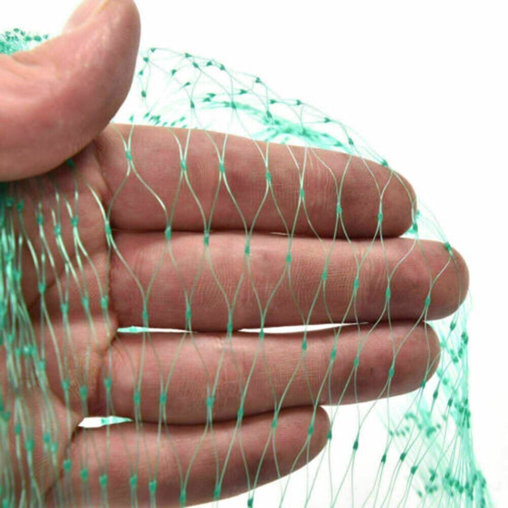 33FT Anti Bird Netting Pond Net Protection Tree Crops Plants Fruits - spt