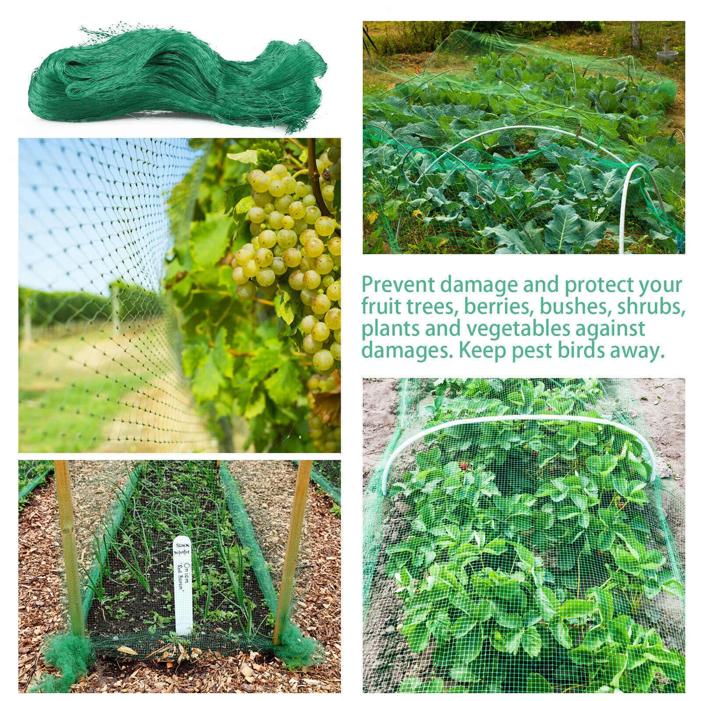 33FT Anti Bird Netting Pond Net Protection Tree Crops Plants Fruits - spt