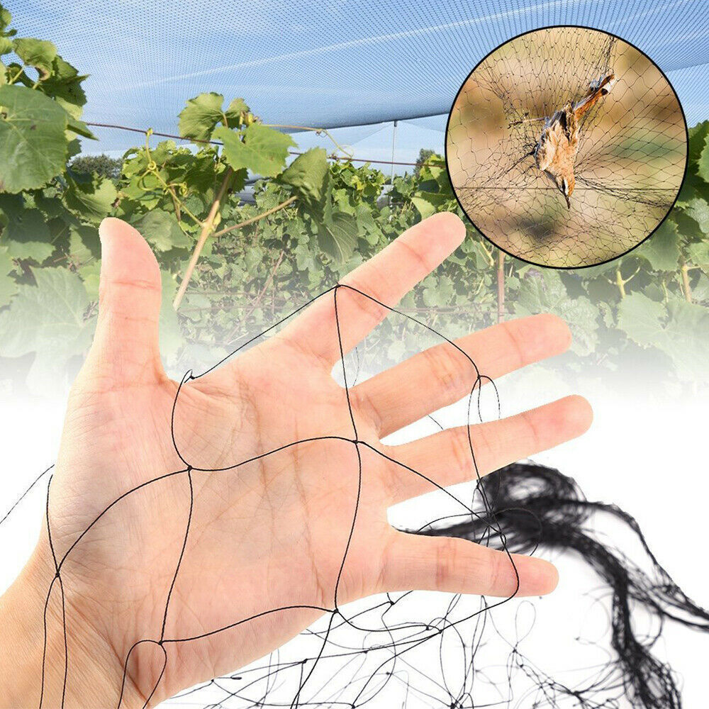 33FT Anti Bird Netting Pond Net Protection Tree Crops Plants Fruits - spt