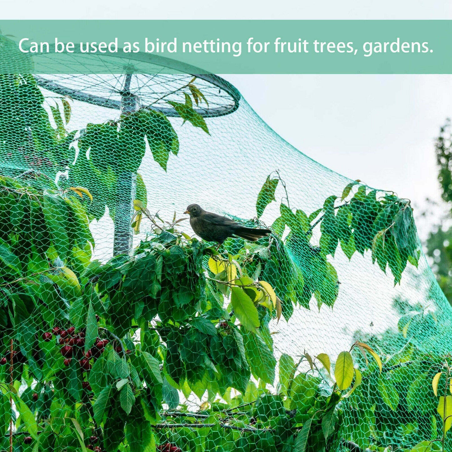 33FT Anti Bird Netting Pond Net Protection Tree Crops Plants Fruits - spt