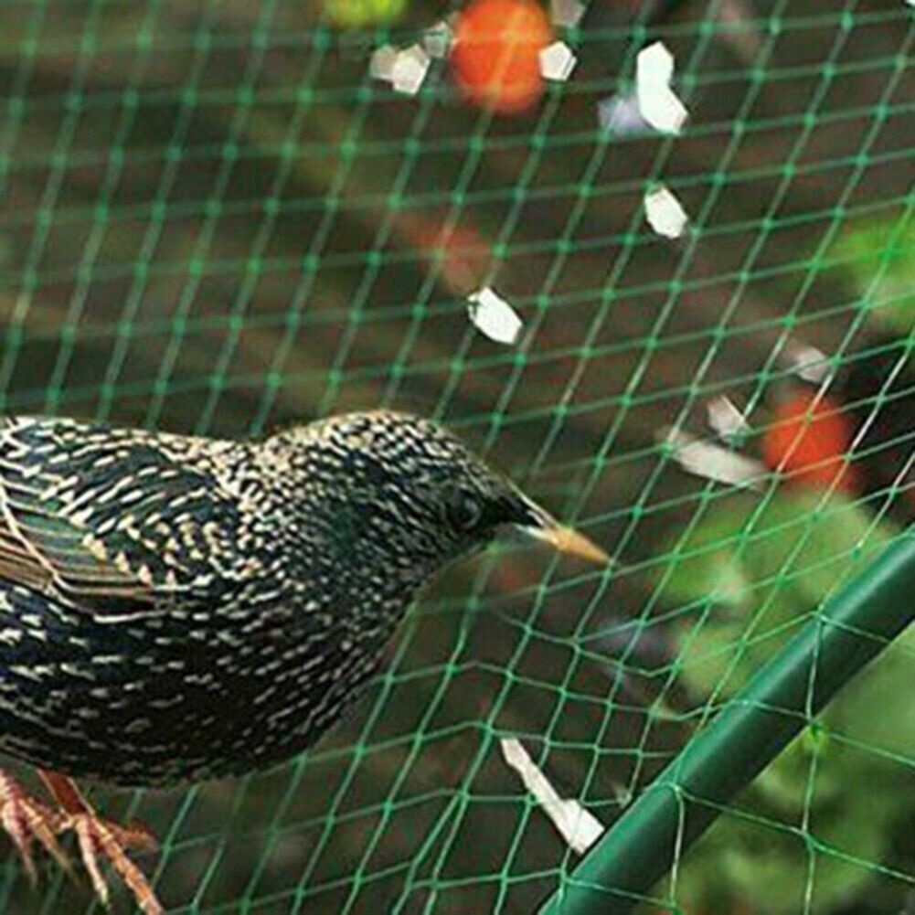 33FT Anti Bird Netting Pond Net Protection Tree Crops Plants Fruits - spt