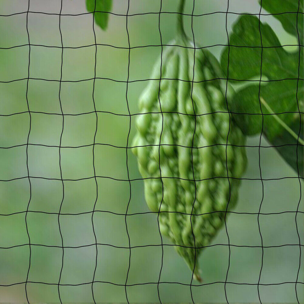 33FT Anti Bird Netting Pond Net Protection Tree Crops Plants Fruits - spt