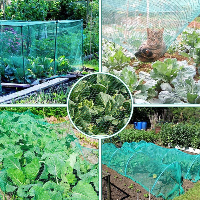33FT Anti Bird Netting Pond Net Protection Tree Crops Plants Fruits - spt