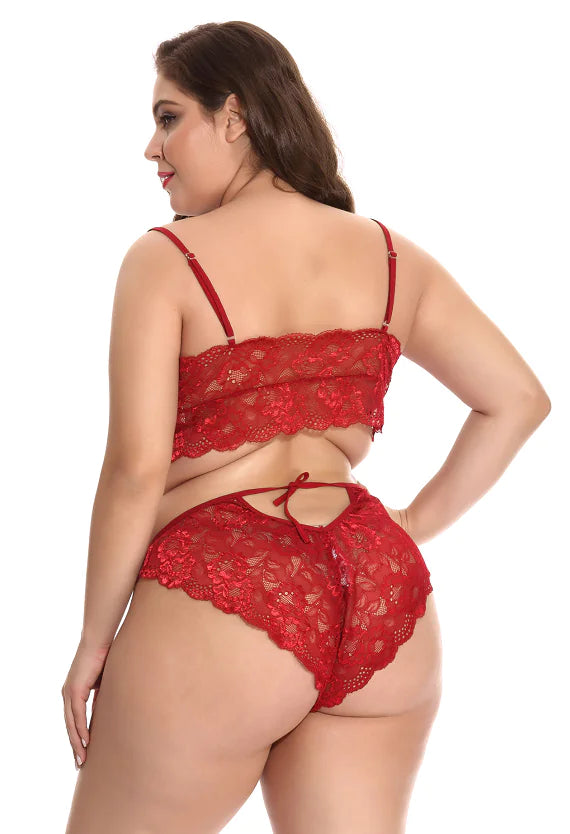 Plus Size Lingerie and Sleepwear
