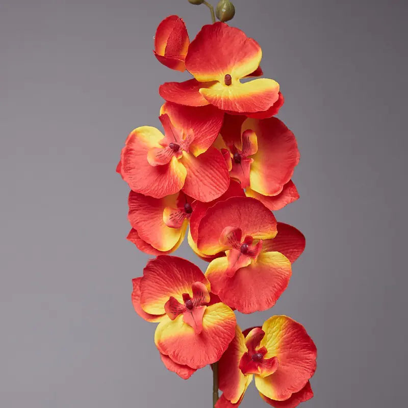 Artificial Orchid Flower for European Dining Table