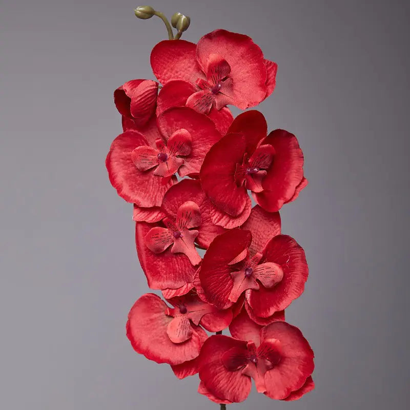 Artificial Orchid Flower for European Dining Table