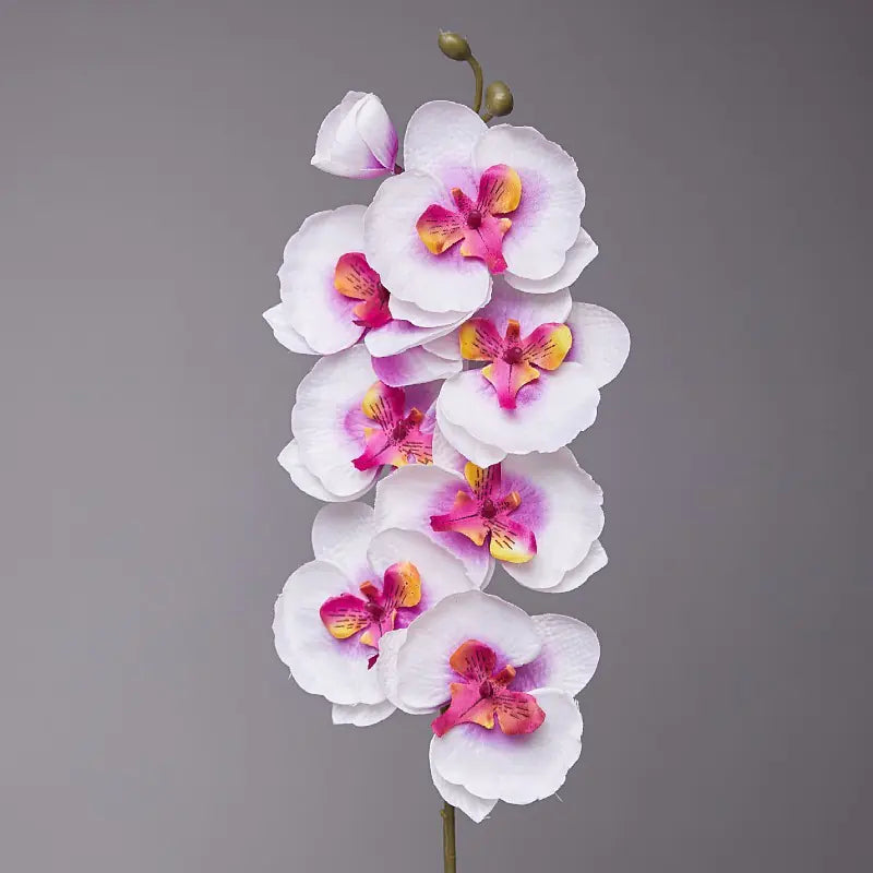 Artificial Orchid Flower for European Dining Table