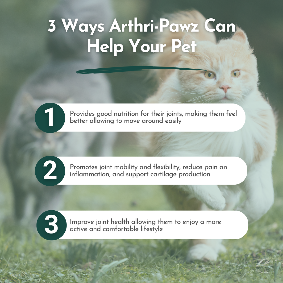 Arthri-Pawz – with Glucosamine for Cats and Dogs