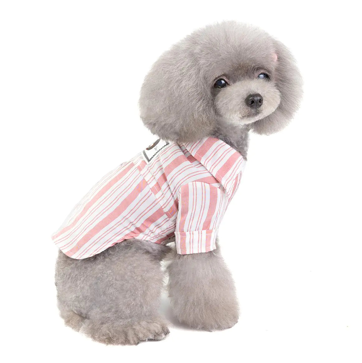 Pet Shirt for Dogs and Cats - Stylish Pet Clothing - 888