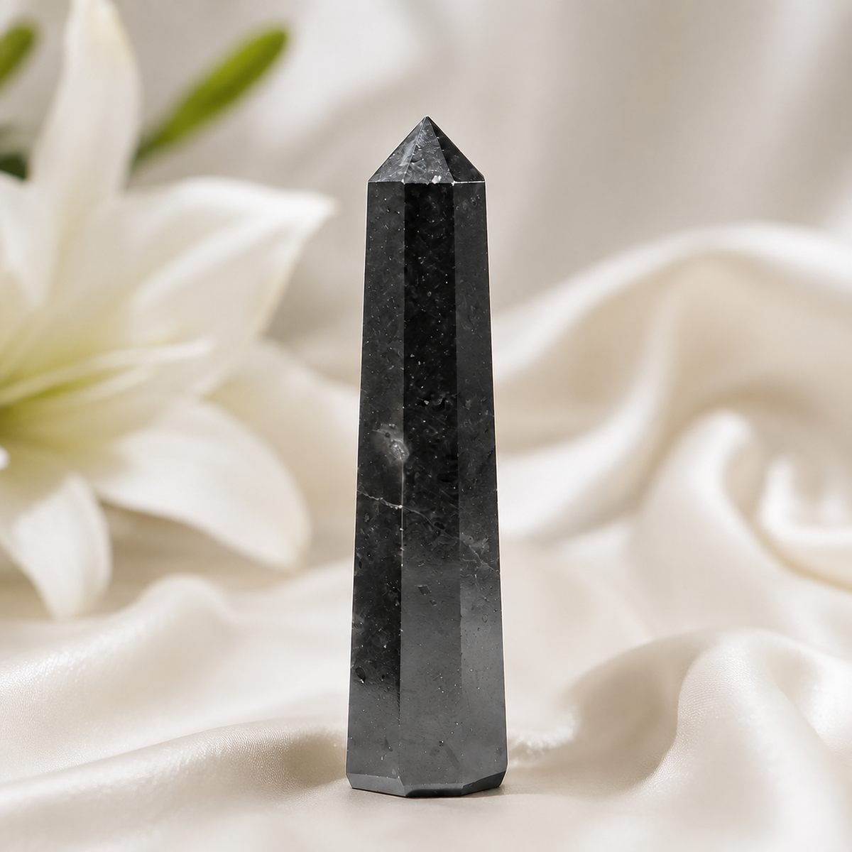 Black Shungite Tower Point (Purification and Inflammation)