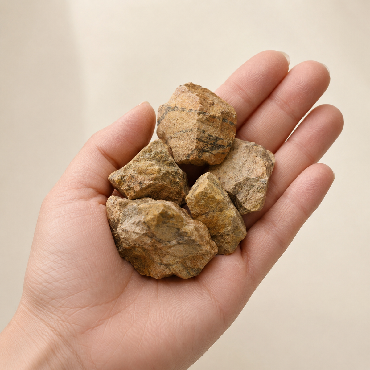 Picture Jasper Rough Stones, 1 inch Picture Jasper Raw Stone