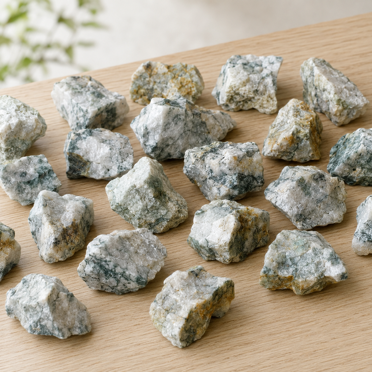 Tree Agate Rough Rocks (Trust and Self-Discipline)