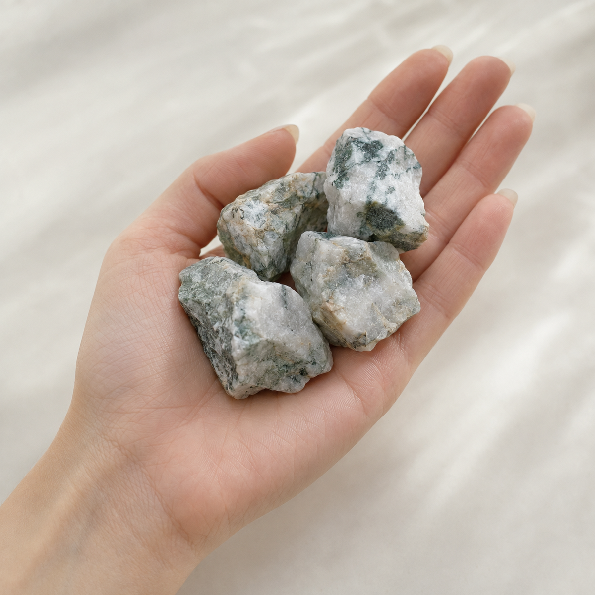 Tree Agate Rough Rocks (Trust and Self-Discipline)