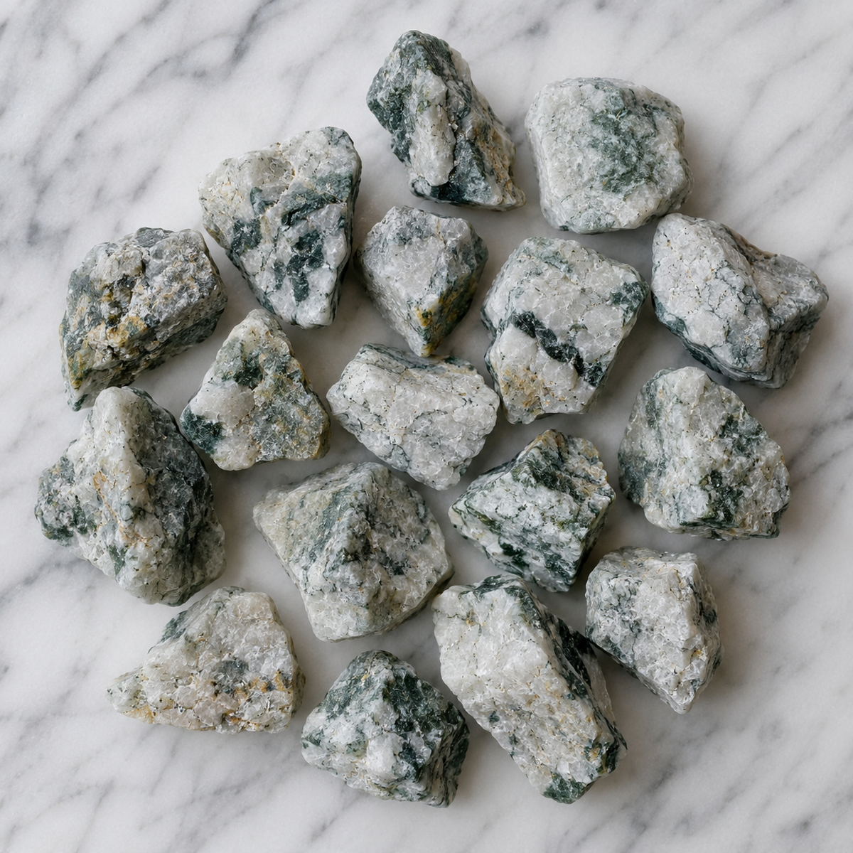 Tree Agate Rough Rocks (Trust and Self-Discipline)