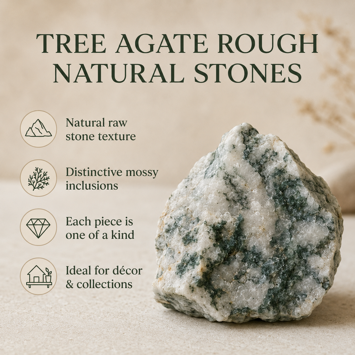 Tree Agate Rough Rocks (Trust and Self-Discipline)