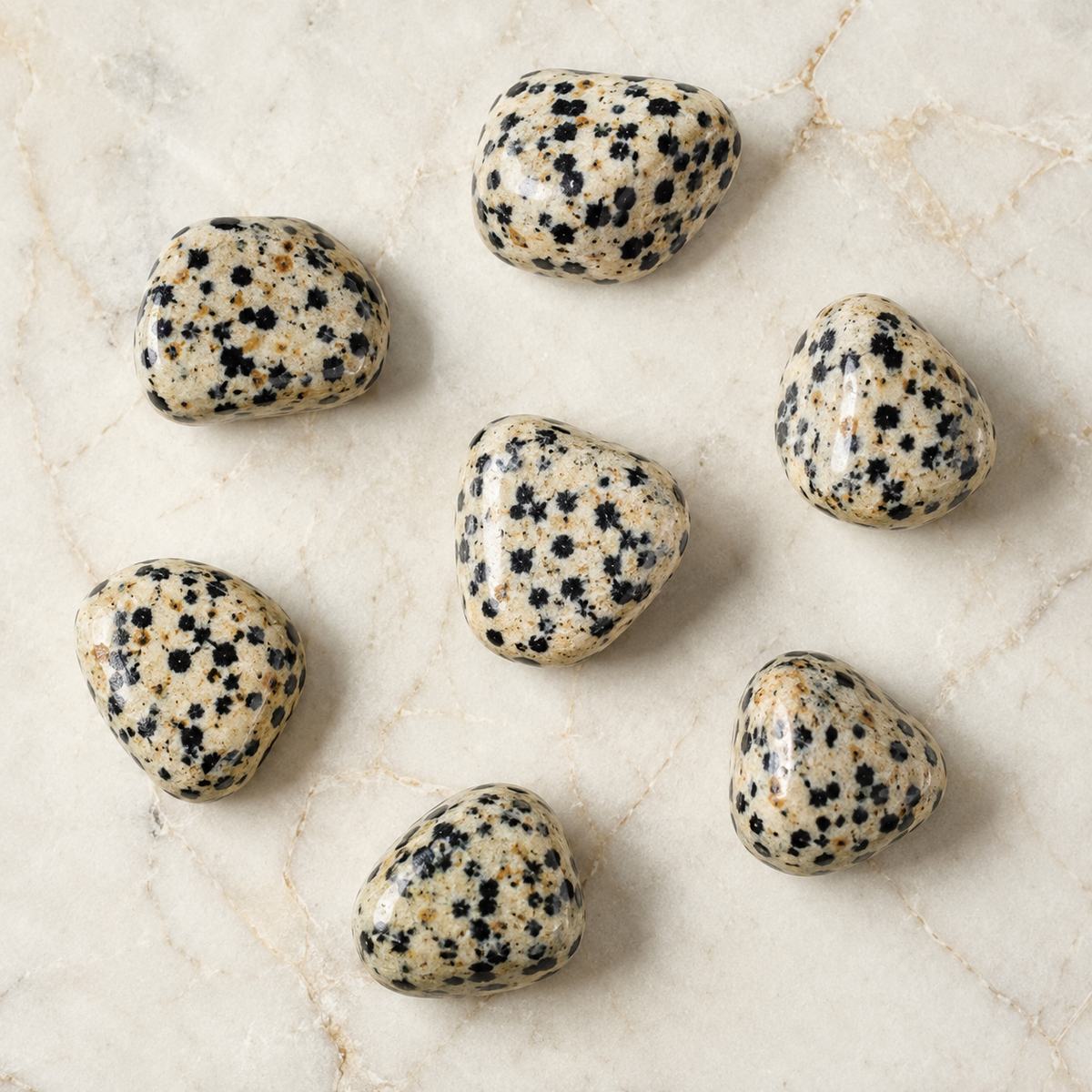 Dalmatian Jasper Tumbled Crystals (Luck And Good Fortune and Manifestation)