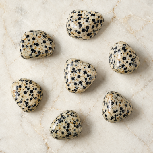 Dalmatian Jasper Tumbled Crystals (Luck And Good Fortune and Manifestation)