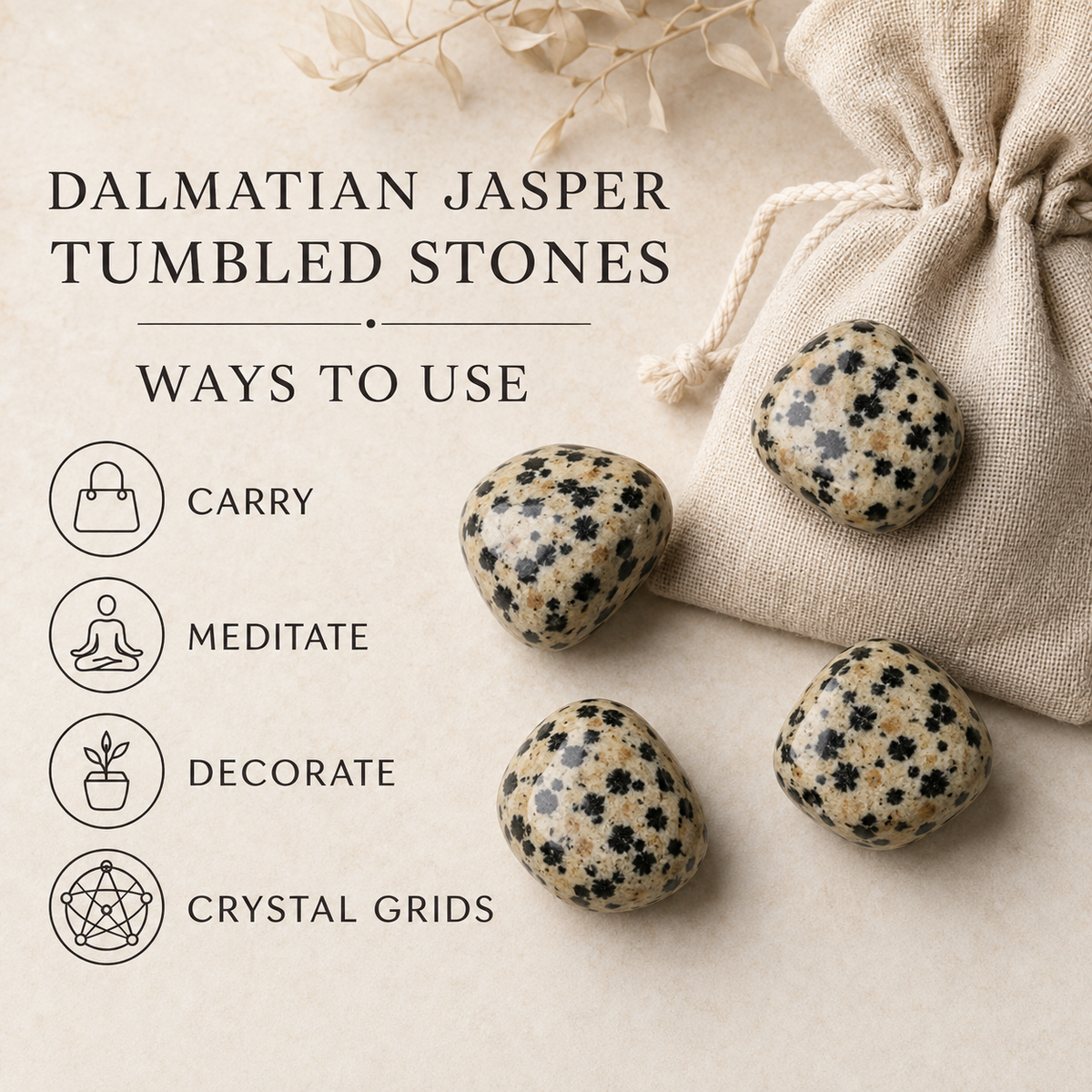 Dalmatian Jasper Tumbled Crystals (Luck And Good Fortune and Manifestation)
