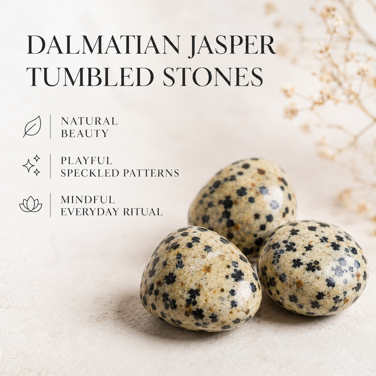 Dalmatian Jasper Tumbled Crystals (Luck And Good Fortune and Manifestation)