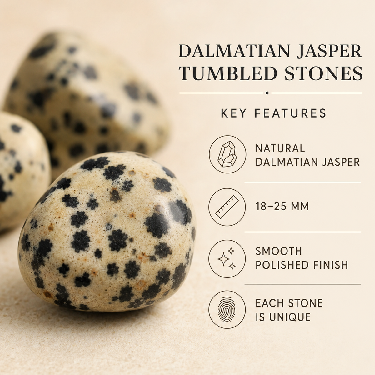 Dalmatian Jasper Tumbled Crystals (Luck And Good Fortune and Manifestation)