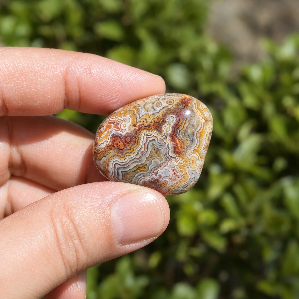 Crazy Lace Agate Tumbled Crystals (Breaking Addictions and Purification)