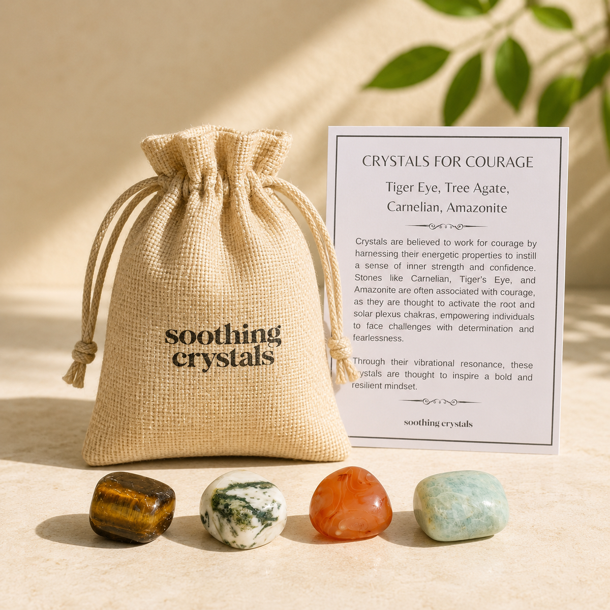 Promote COURAGE Crystal Kit, Gemstone Tumble Kit, Courage Crystal Gift Set