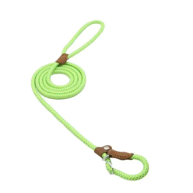 Nylon Pup Set - 888