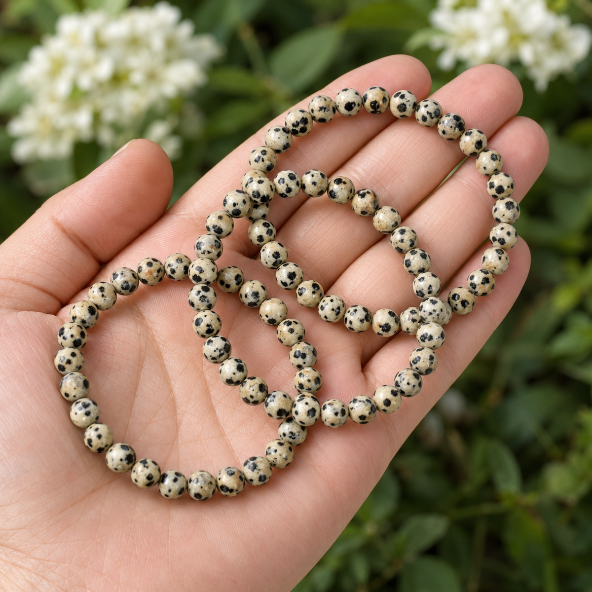 Dalmatian Jasper Bracelet | Dalmatian Stone Bracelet (Altruism and Past Life Recall)