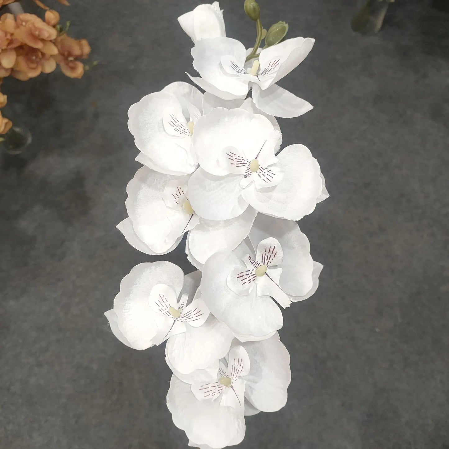Artificial Orchid Flower for European Dining Table
