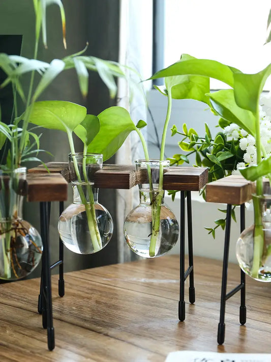 Transparent Glass Vase for Hydroponic Planting (1pc)