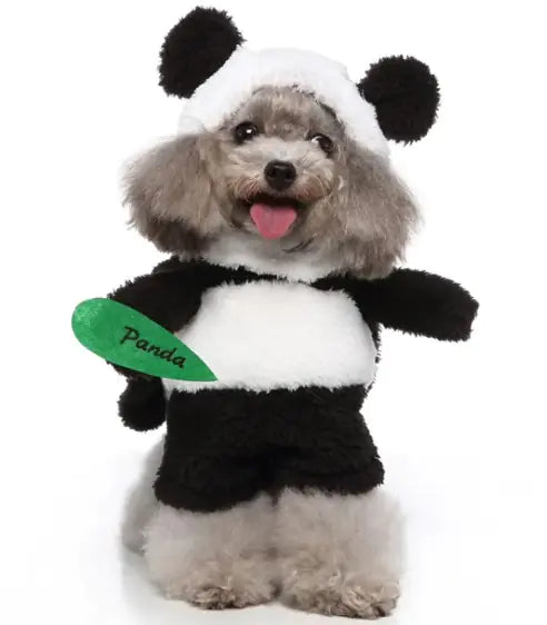 Pet Products Clothing - 888